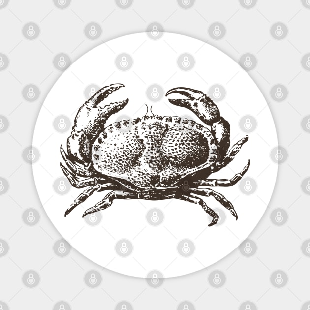 Crab - Vintage Small Crab Magnet by KC Happy Shop